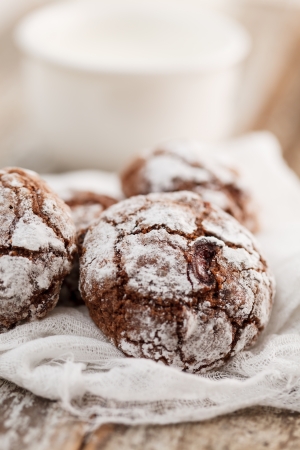 christmas chocolate cookiesの写真素材