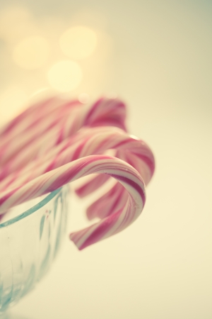 Peppermint candy canesの写真素材