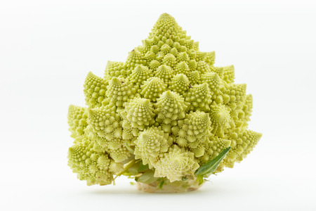 Romanesco broccoli (Brassica oleracea)の写真素材