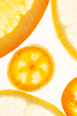 citrus fruits backgroundの写真素材