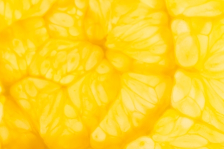 citrus fruits backgroundの写真素材