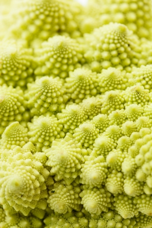 romanesko broccoliの写真素材