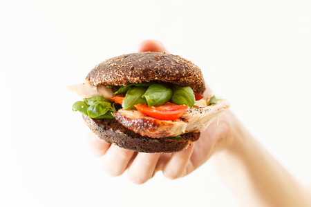 sandwich with chicken and cheeseの写真素材