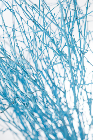 christmas treeの写真素材