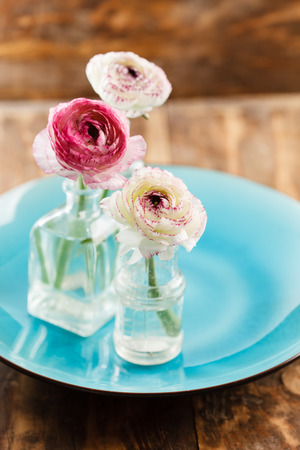 ranunculus in vase の写真素材