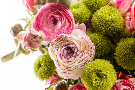 spring flowersの写真素材