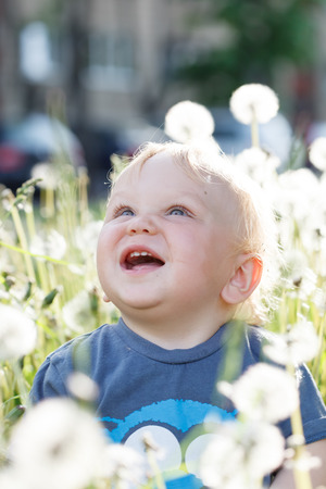 little baby boy sitting on a green meadow の写真素材