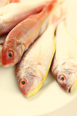 Japanese doradoの写真素材