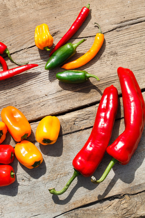 different kinds of pepperの写真素材