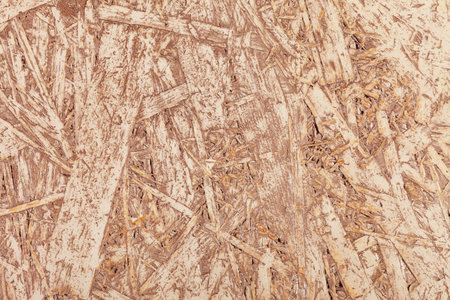 Wood Texture