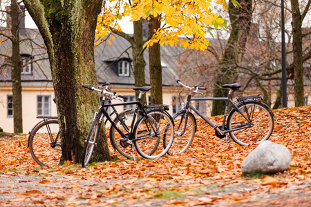 bicycles in autumn parkの写真素材