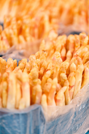 asparagus at a marketの写真素材