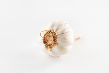 garlic on the whiteの写真素材