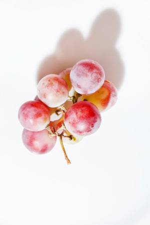 grapesの写真素材