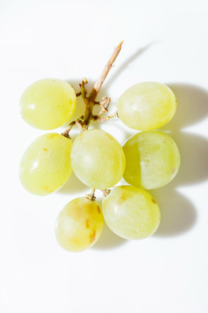 grapesの写真素材