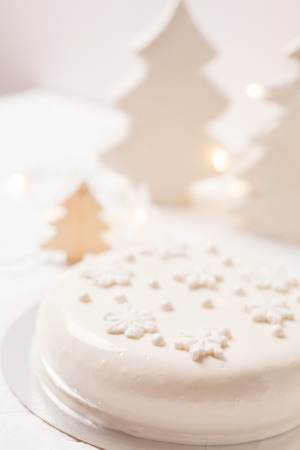 Christmas cakeの写真素材