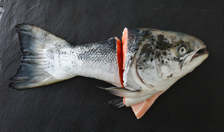 raw salmon for soupの写真素材