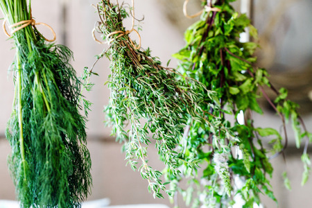 fresh herbsの写真素材