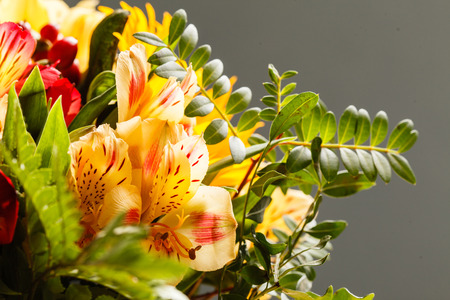 nice flowersの写真素材