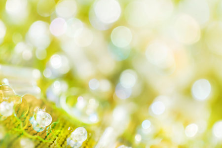 light background