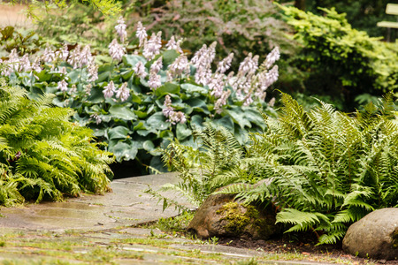 spring parkの写真素材