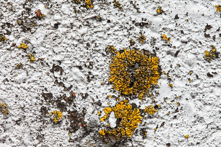 old wallの写真素材