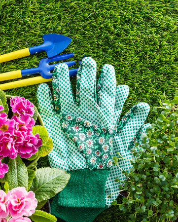 spring flowersの写真素材