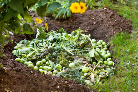 Bio-waste for compost earth