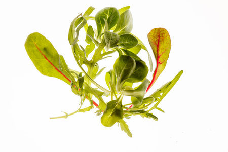 salad leaves