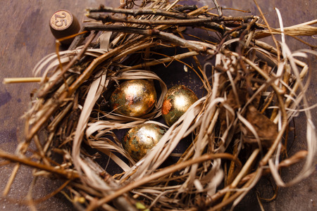 eggs in the nestの写真素材