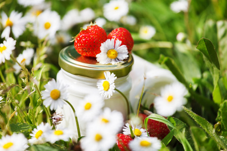 organic yogurtの写真素材