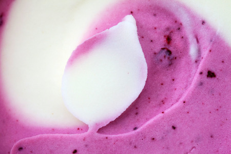 frozen yogurtの写真素材