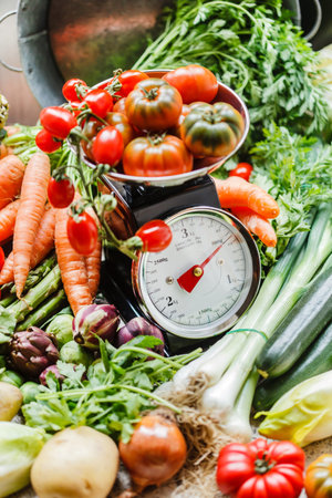 fresh vegetablesの写真素材