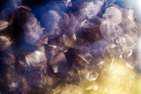 light bubblesの写真素材