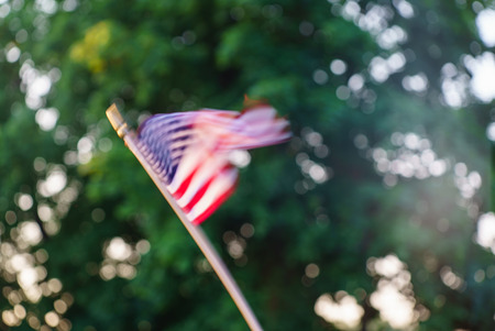 american flagsの写真素材