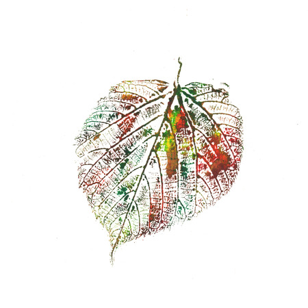 color leafの写真素材