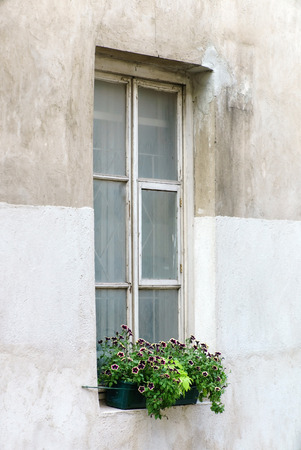 old windowの写真素材