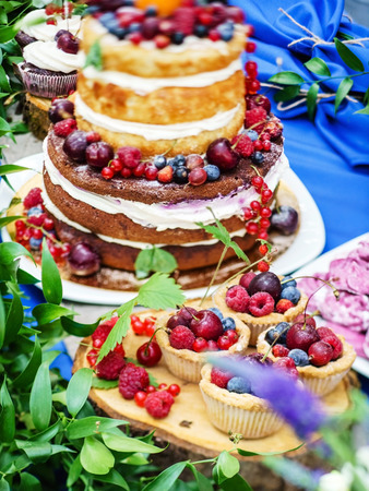 naked wedding cakeの写真素材