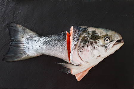 raw salmon for soupの写真素材