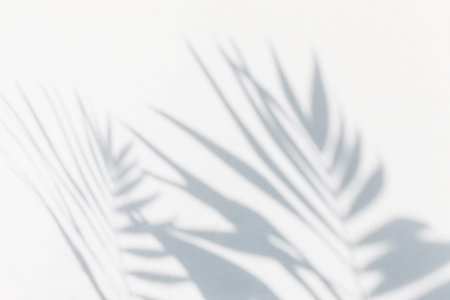 shadow of palm leaves