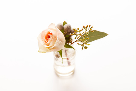 nice flowersの写真素材