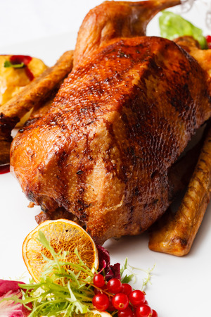 Roasted gooseの写真素材