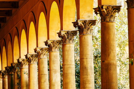 many columns