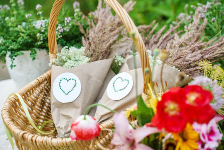 summerの写真素材