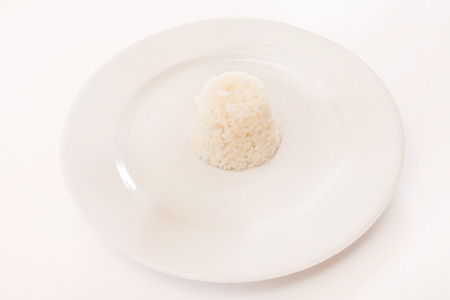 rice on the white plateの写真素材