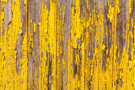 wood backgroundの写真素材