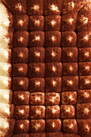 tiramisu cakeの写真素材