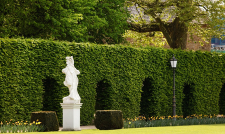 summer gardenの写真素材