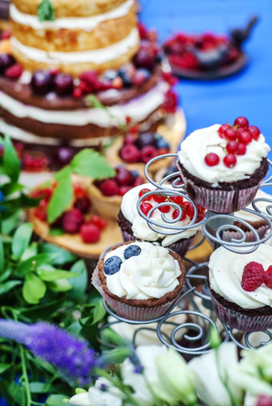 naked wedding cakeの写真素材