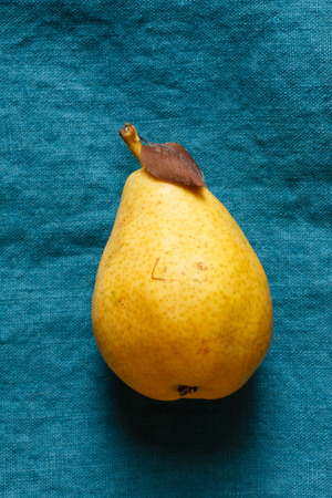 fresh pearsの写真素材